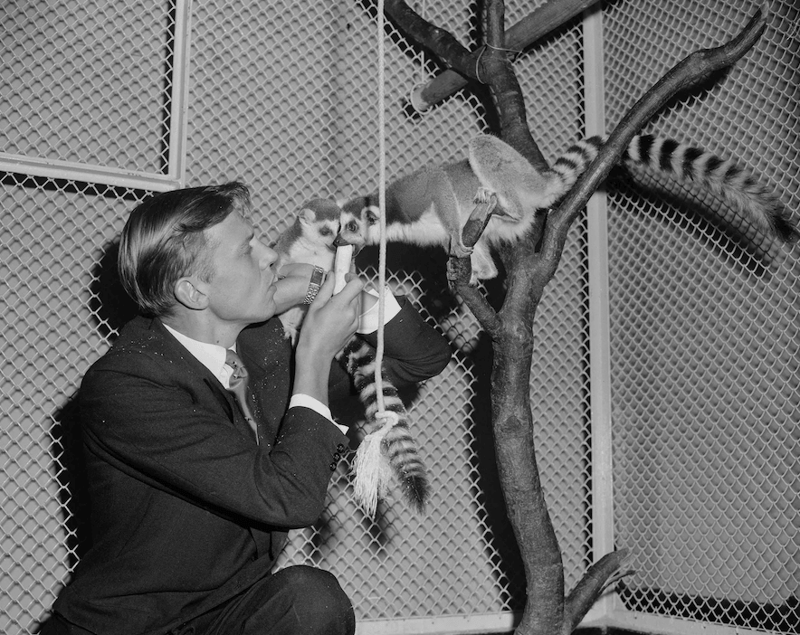 100 años de la voz de David Attenborough