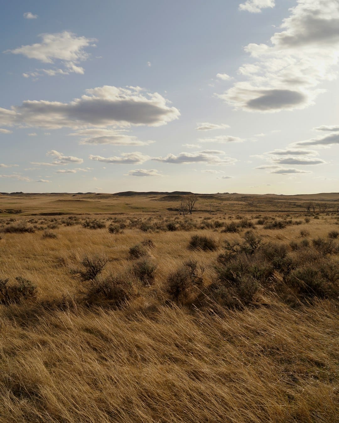 The Conservation Current