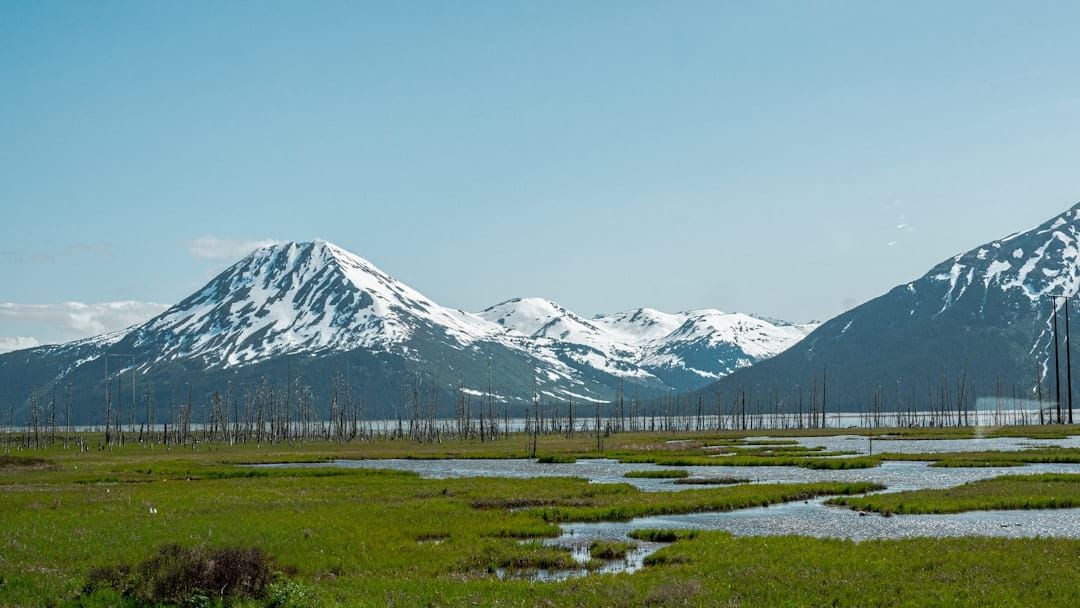 The Big Beautiful Land Grab: Short-Term Energy, Long-Term Consequences