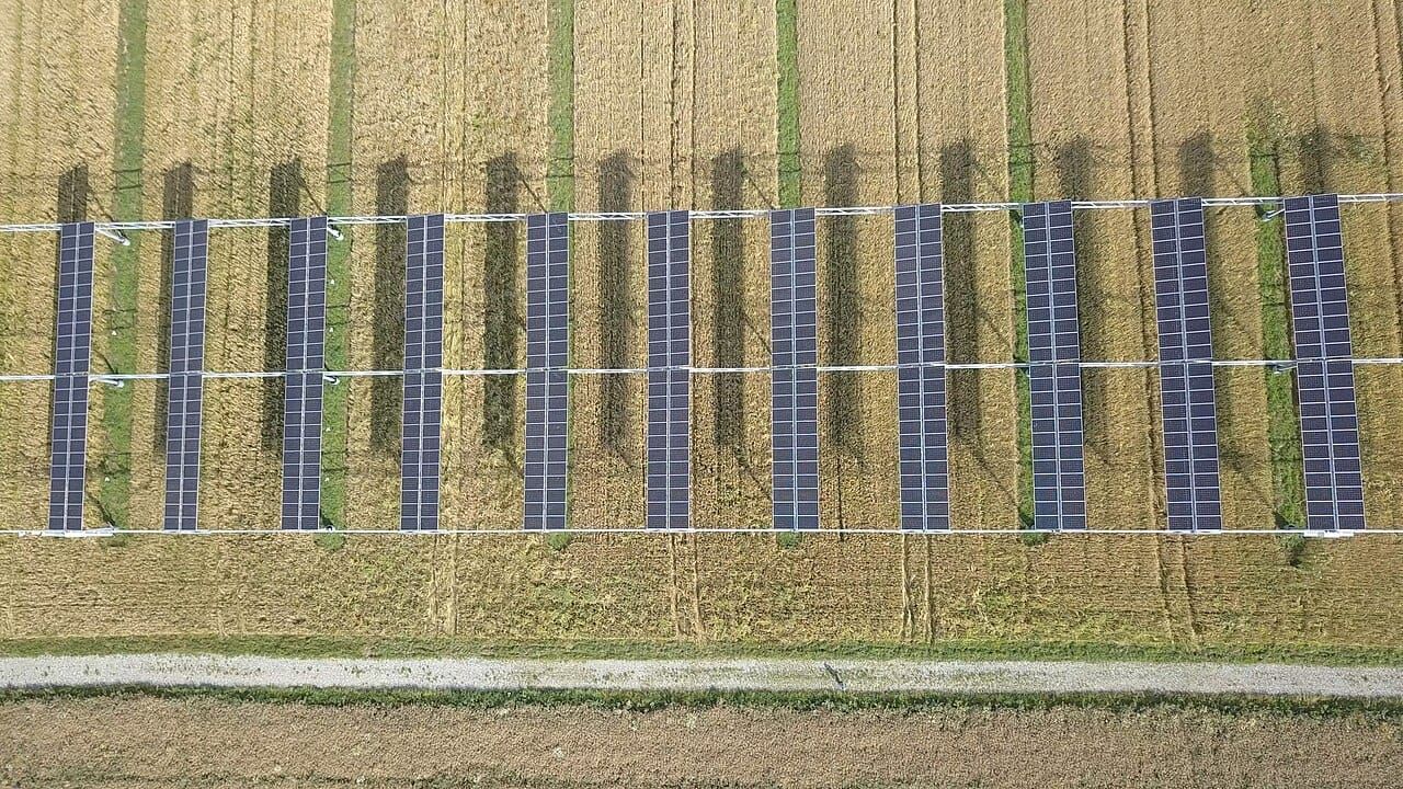 Solar Panels on Farmland: The Honest Case for Agrivoltaics
