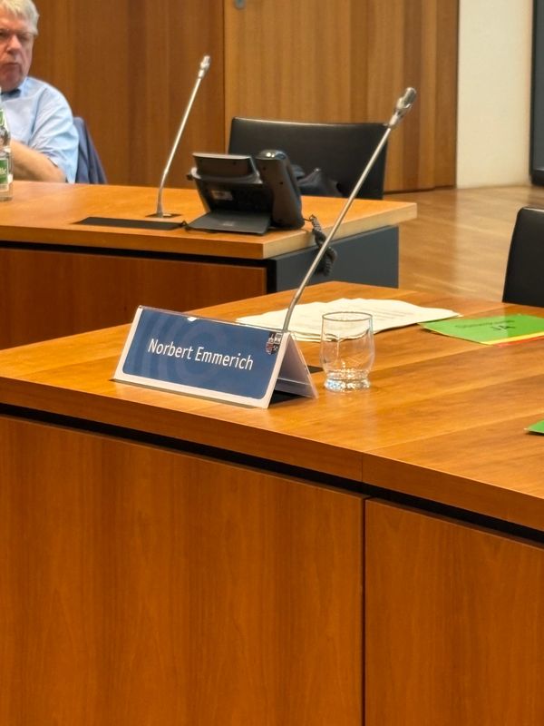 AfD-Bürgermeister abgewählt