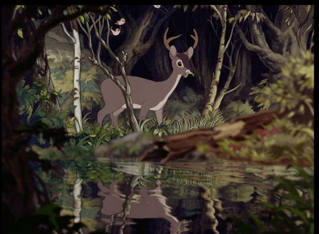 An animated but realistically drawn dear walks through the woods alongside a pond in which it and the rest of the forest are reflected.