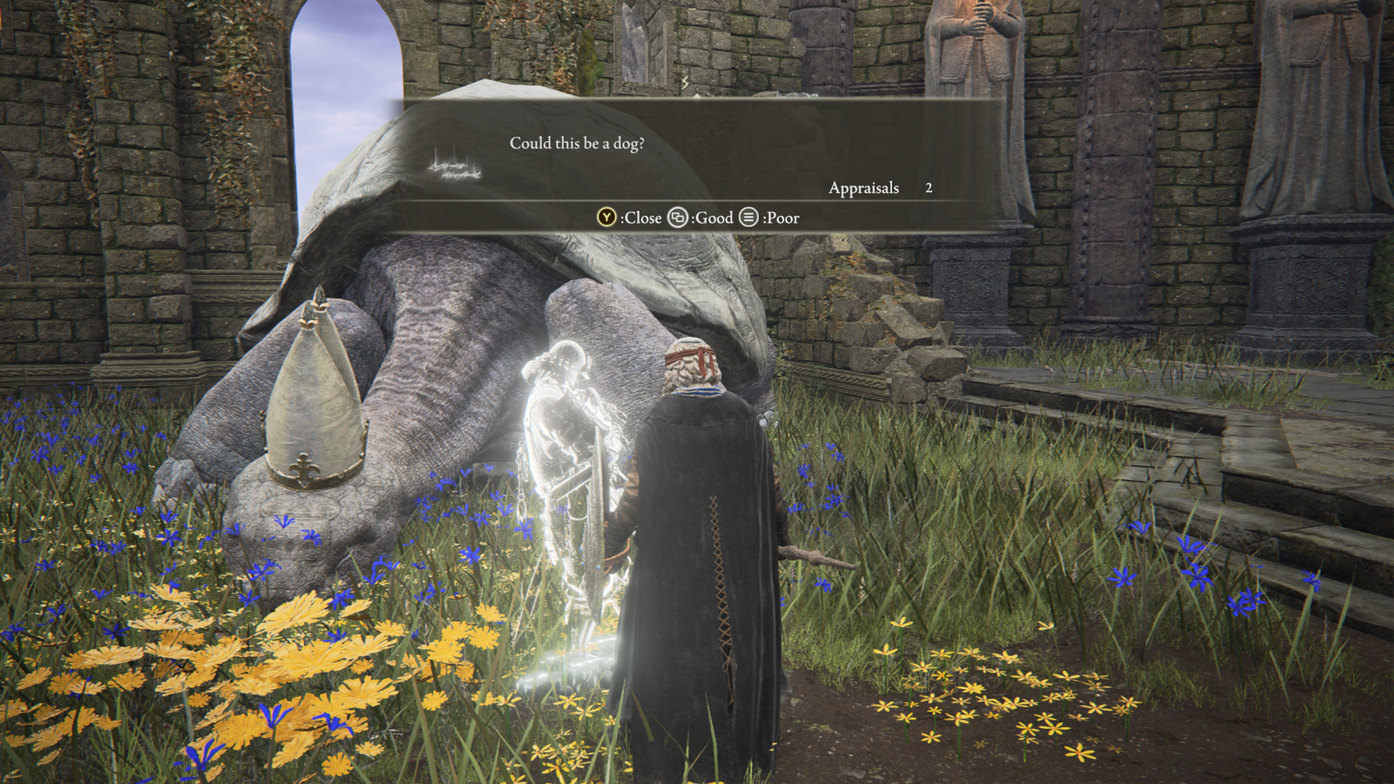 In a ruined church, a player character looks on at a giant turtle with a pope hat. In front of him the apparition of another player, leaning back in mock-thoughtfulness. A message reads, "Could this be a dog?"