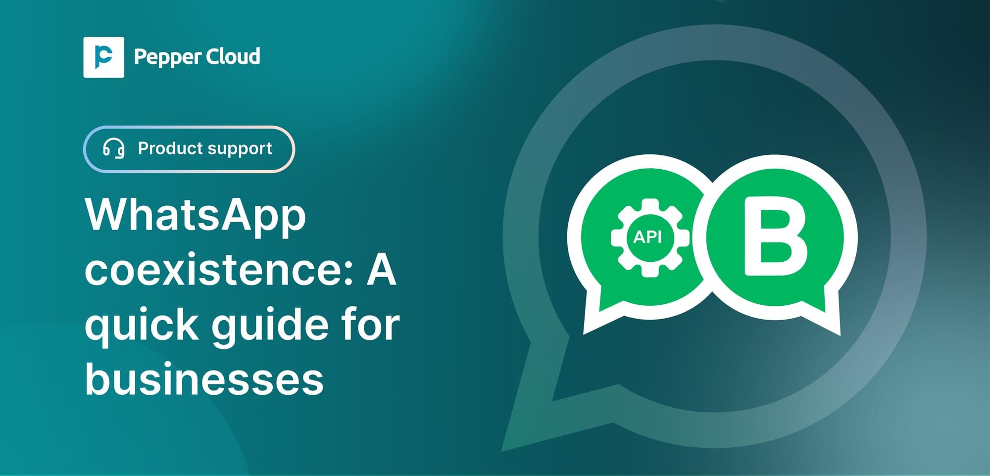 WhatsApp coexistence: The ultimate 2026 guide for business communication