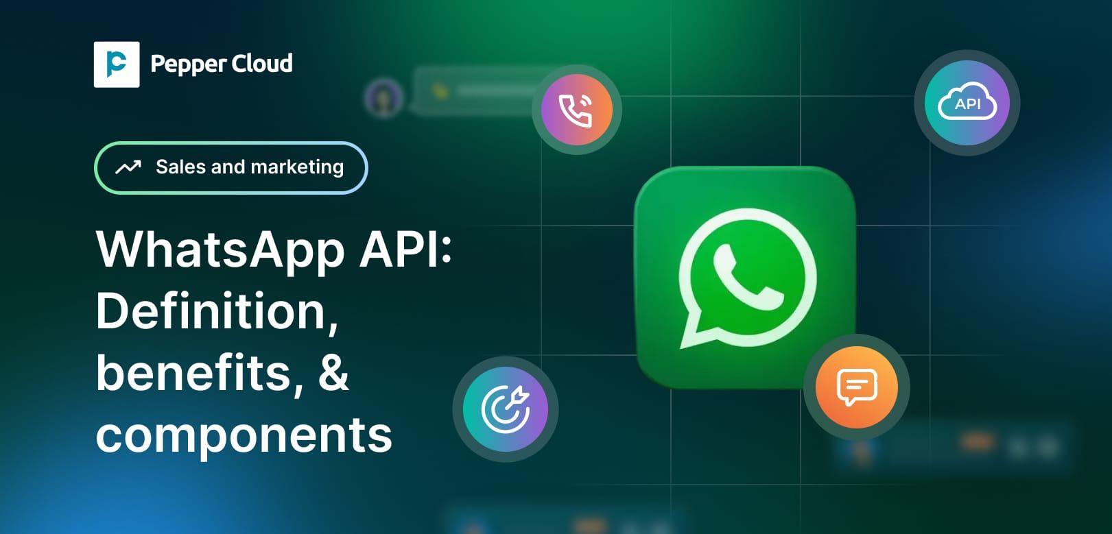 WhatsApp Business API Components: A detailed overview