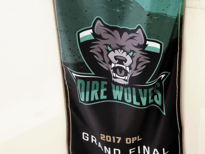 Inside LG's Dire Wolves