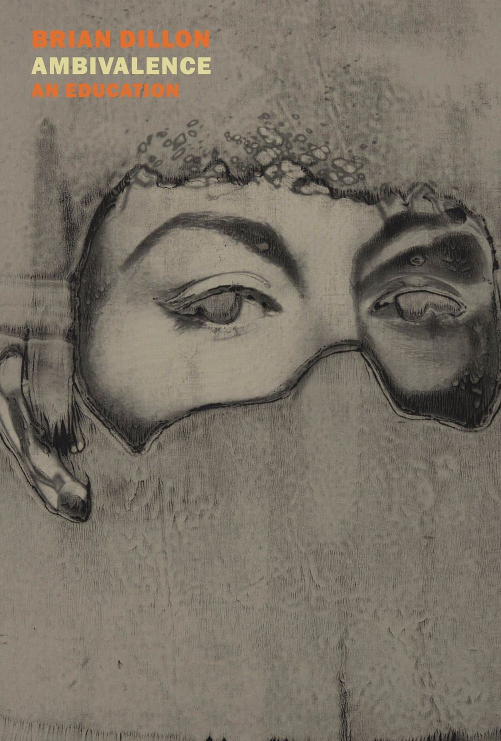 Review: Ambivalence, Brian Dillon