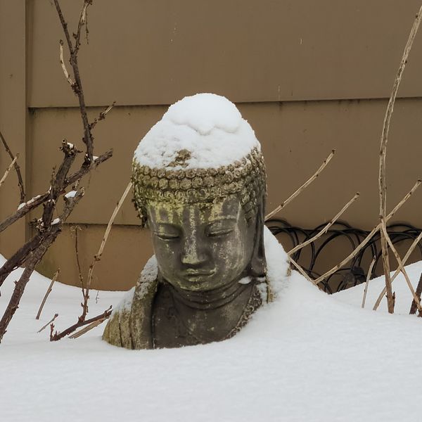 Ice, Isolation, and Solitude