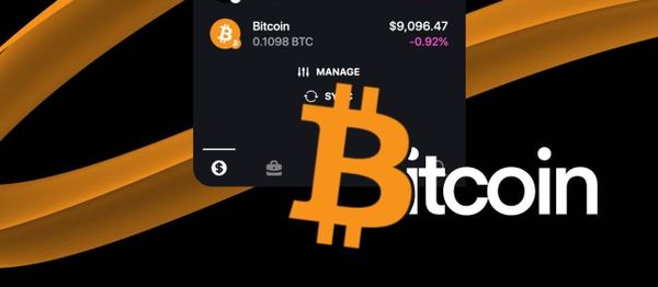 Plug Wallet: A Secure and Non-Custodial BTC Wallet with Native Bitcoin Support