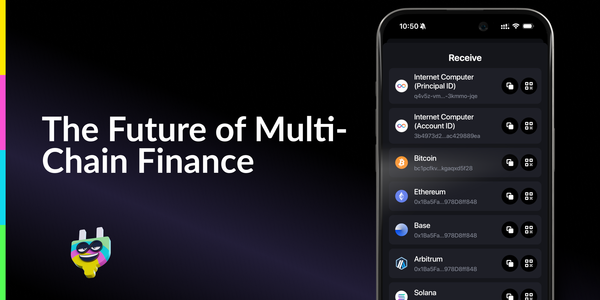 Plug Wallet: The Future of Multi-Chain Finance