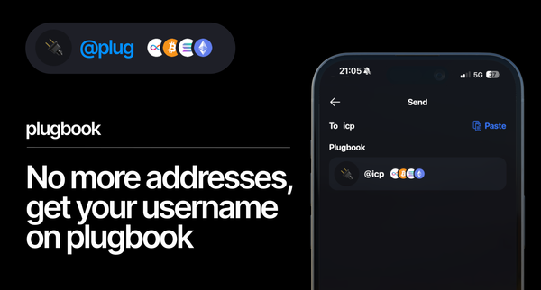 Plugbook: One Username, All Chains