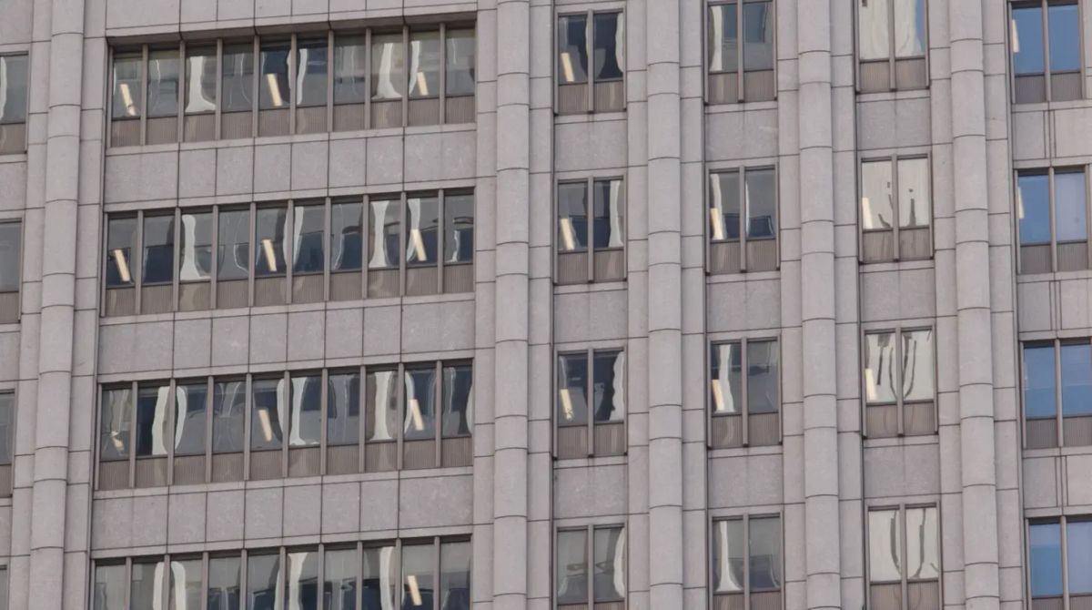 Some things we saw this summer