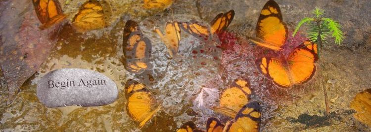 When the Body Begins Again