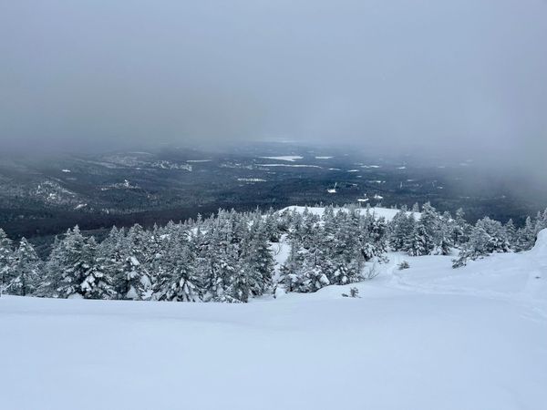 Upper snow fields at Firescrew Mountain