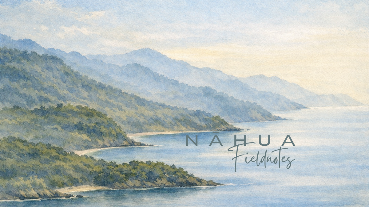 From Necessity to Design: The Nāhua Story