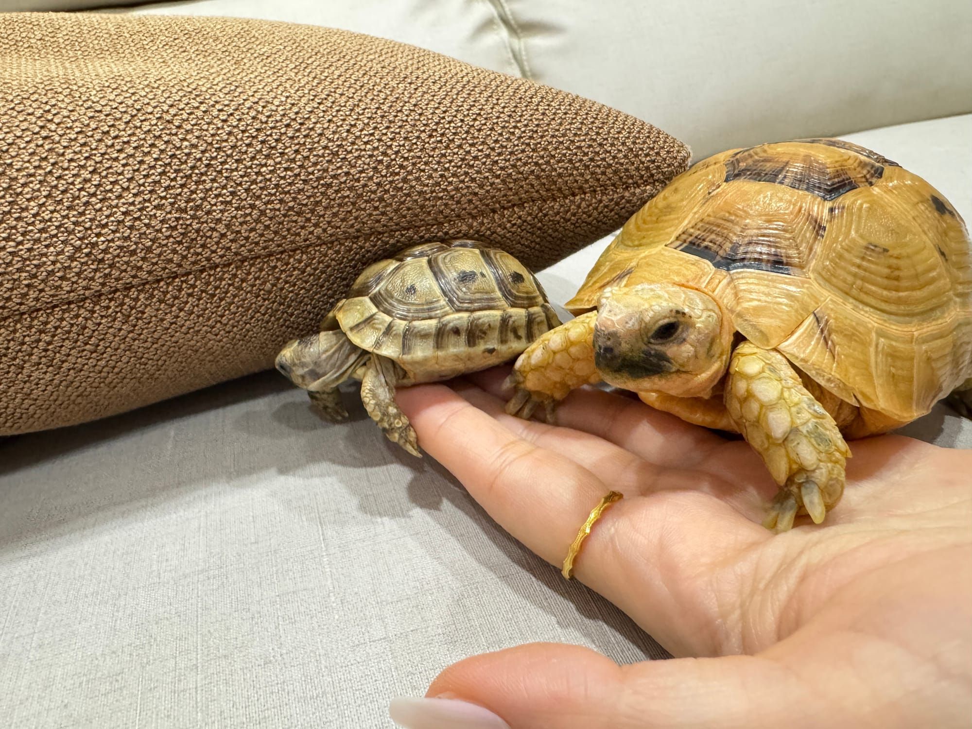 Navigating the Azure Networking Maze: 1 Flow, 2 Directions, 3 Metrics