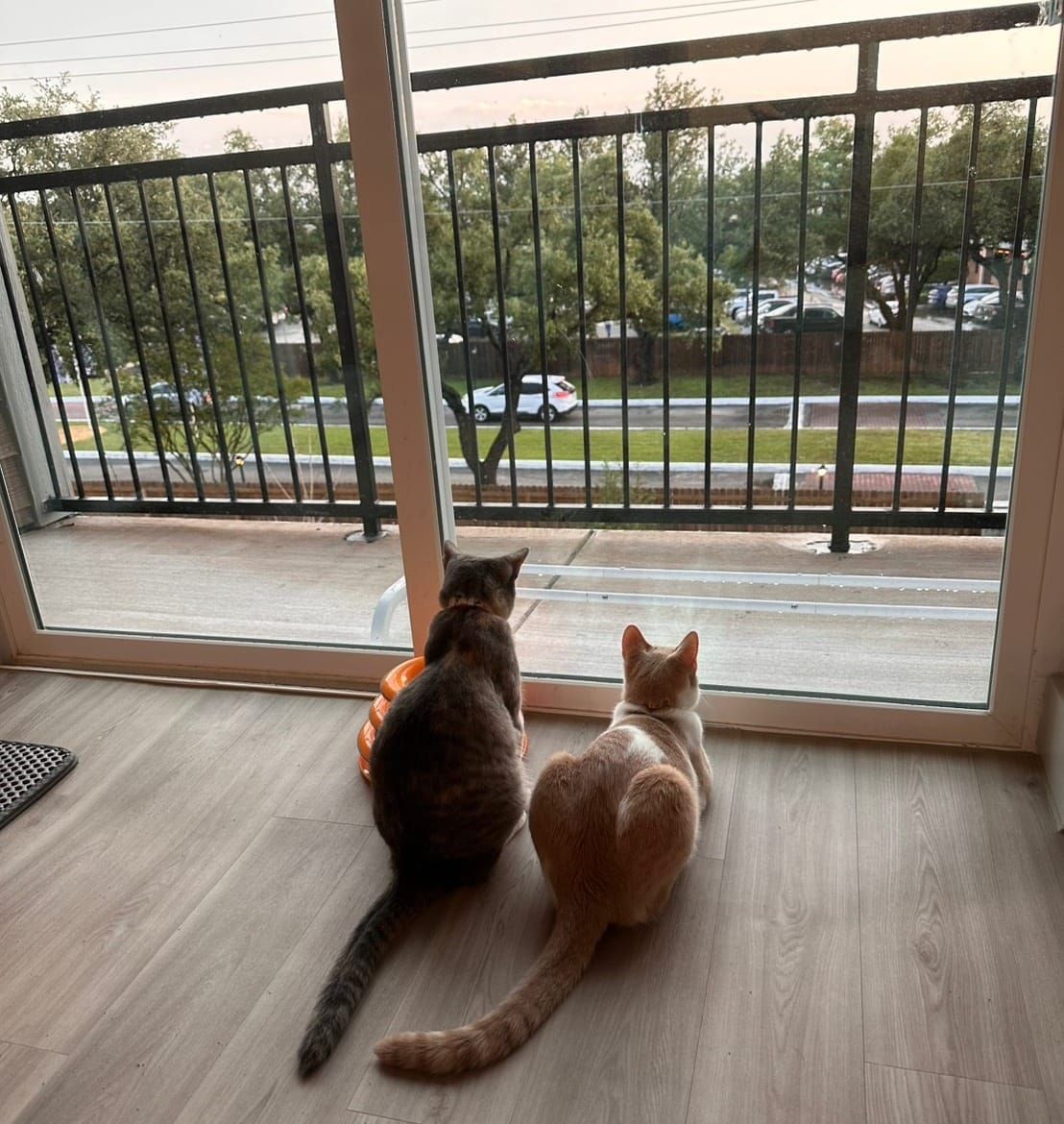 Create Your Own GitHub Copilot