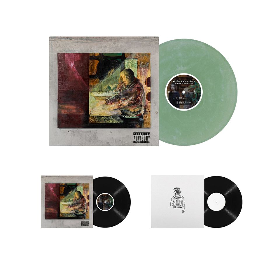 WHILE WE'RE HERE VINYL AVAILABLE NOW (password in Discord)