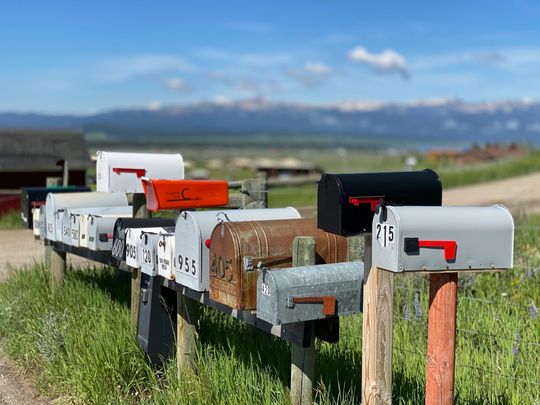 Newsletter