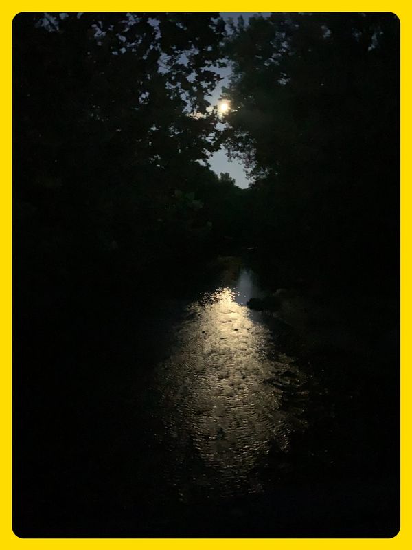 Berhalter pulls a Nancy on Nancy