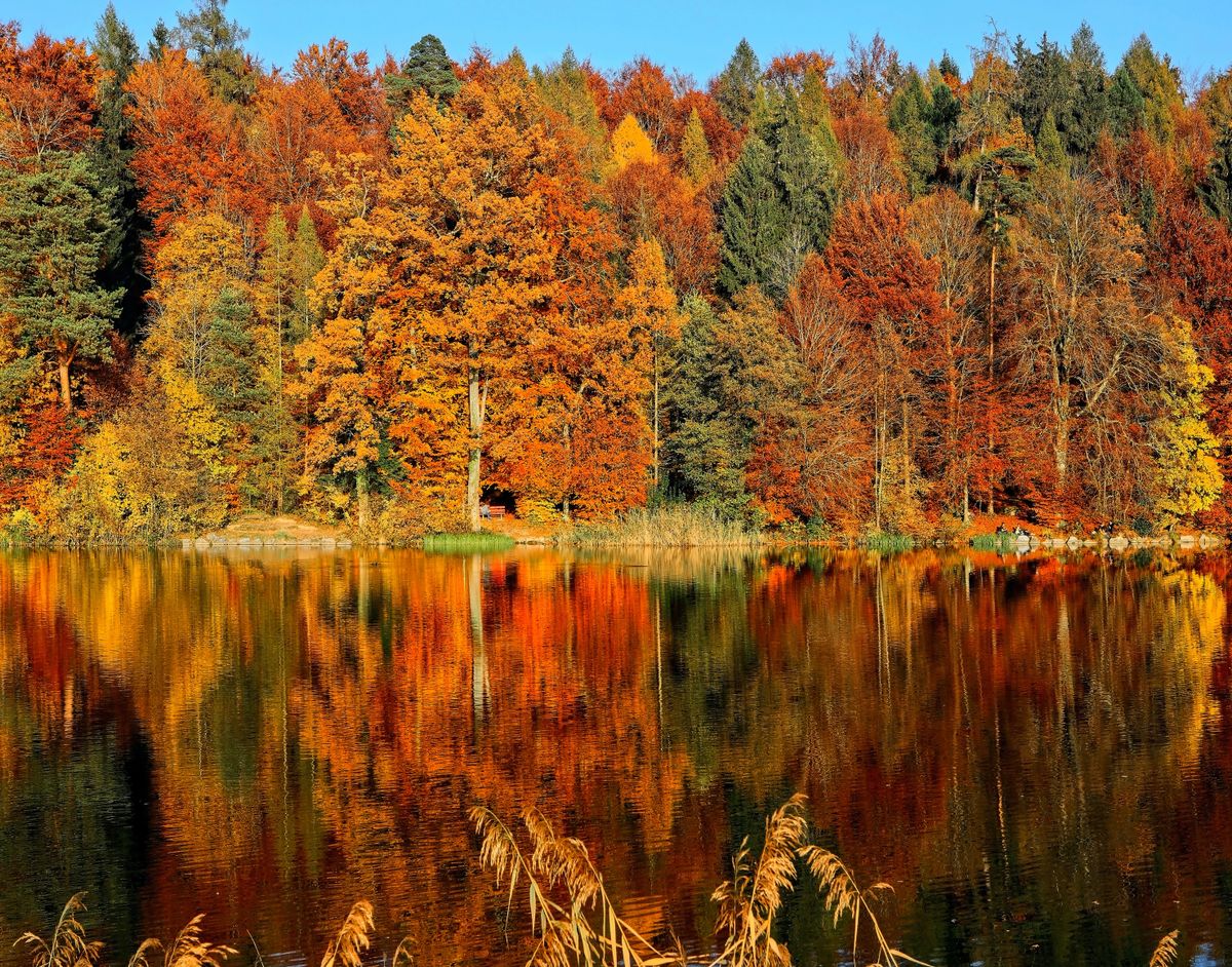 November 2022 - managing generations, weak ties, measuring management, and escape rooms