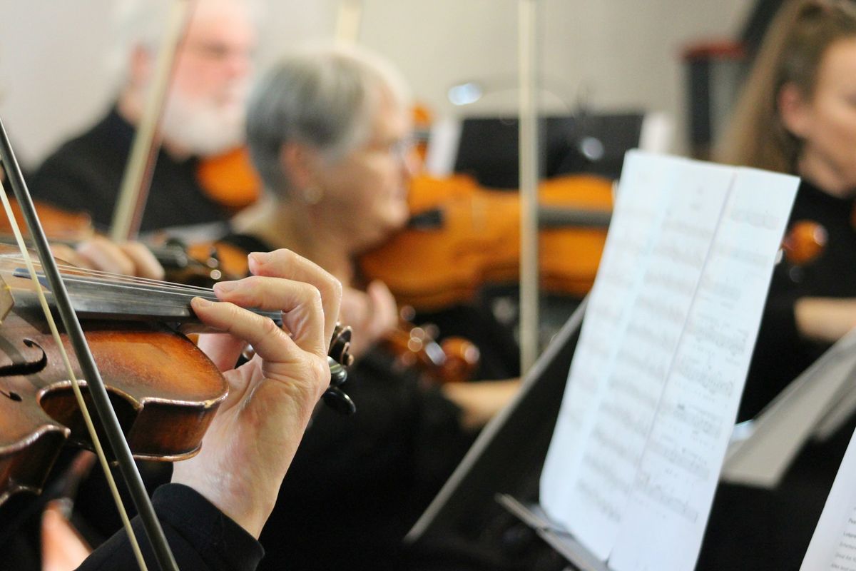 Every orchestra needs a conductor. Really?