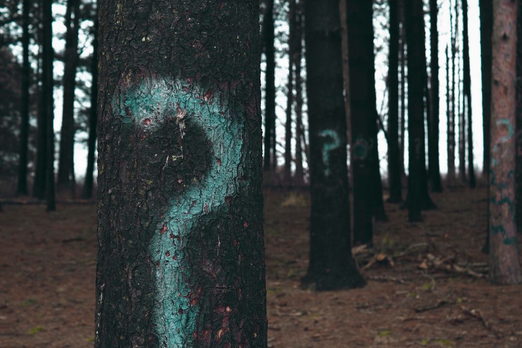 What is a BIG question?