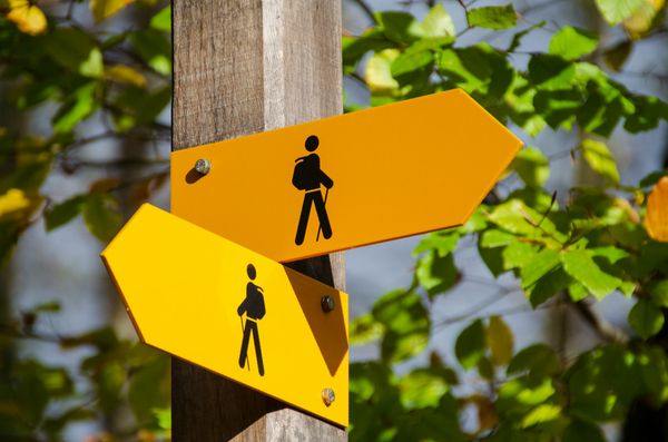 The Five Dimensions of Strategic Career Choices