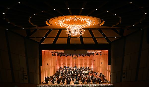Understanding Symphony Structures: A Beginner’s Guide