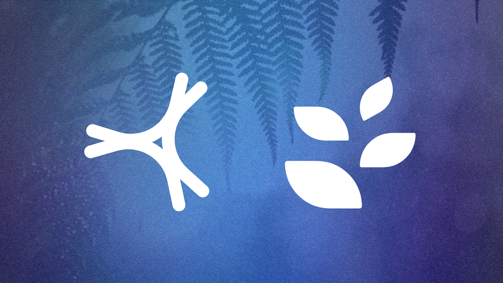 Blog Post Featured Image