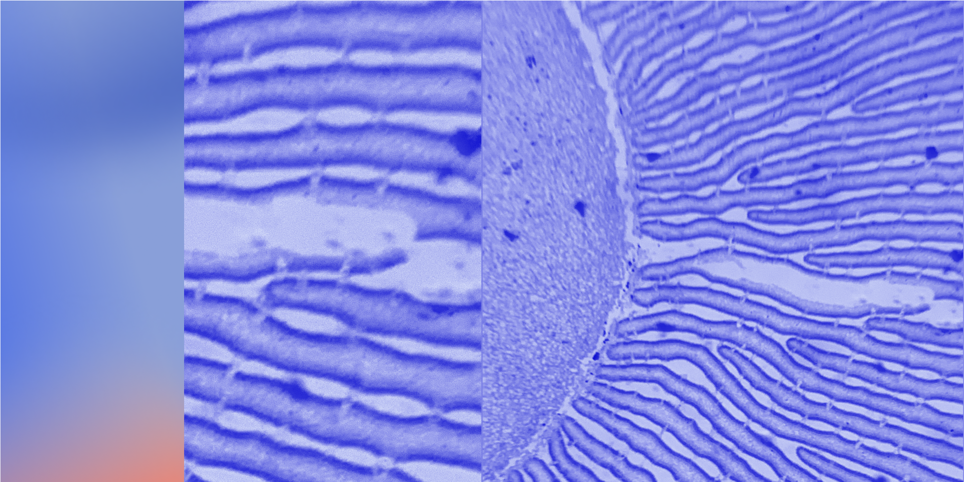 Blog Post Featured Image