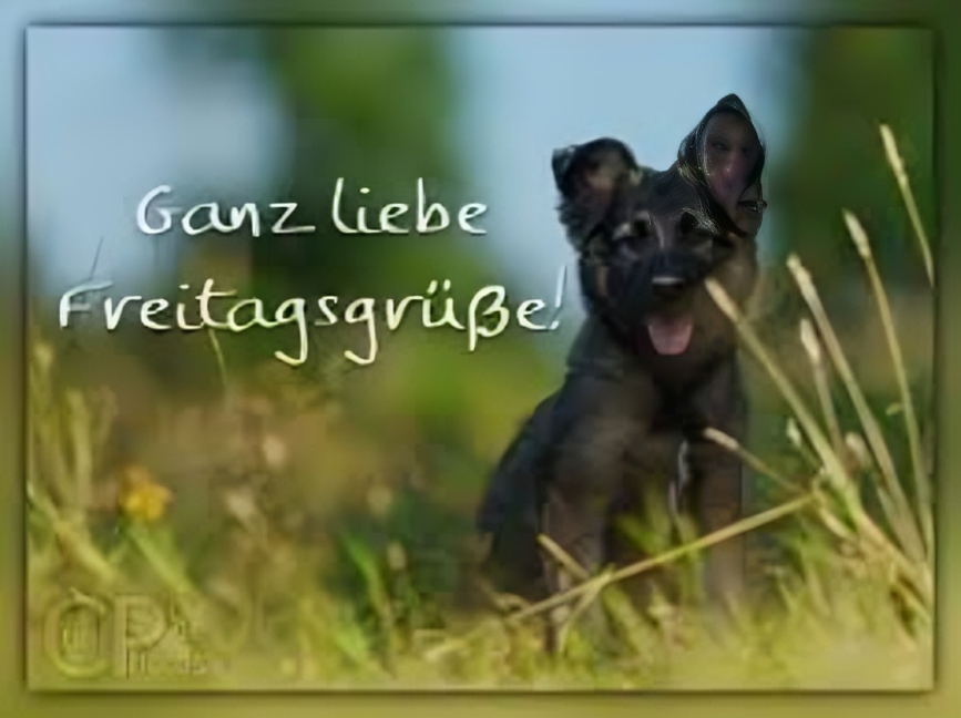 Freitagsgrüße neu