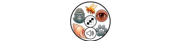 Crazy Spelling: APEs and GHOSTs Crossword