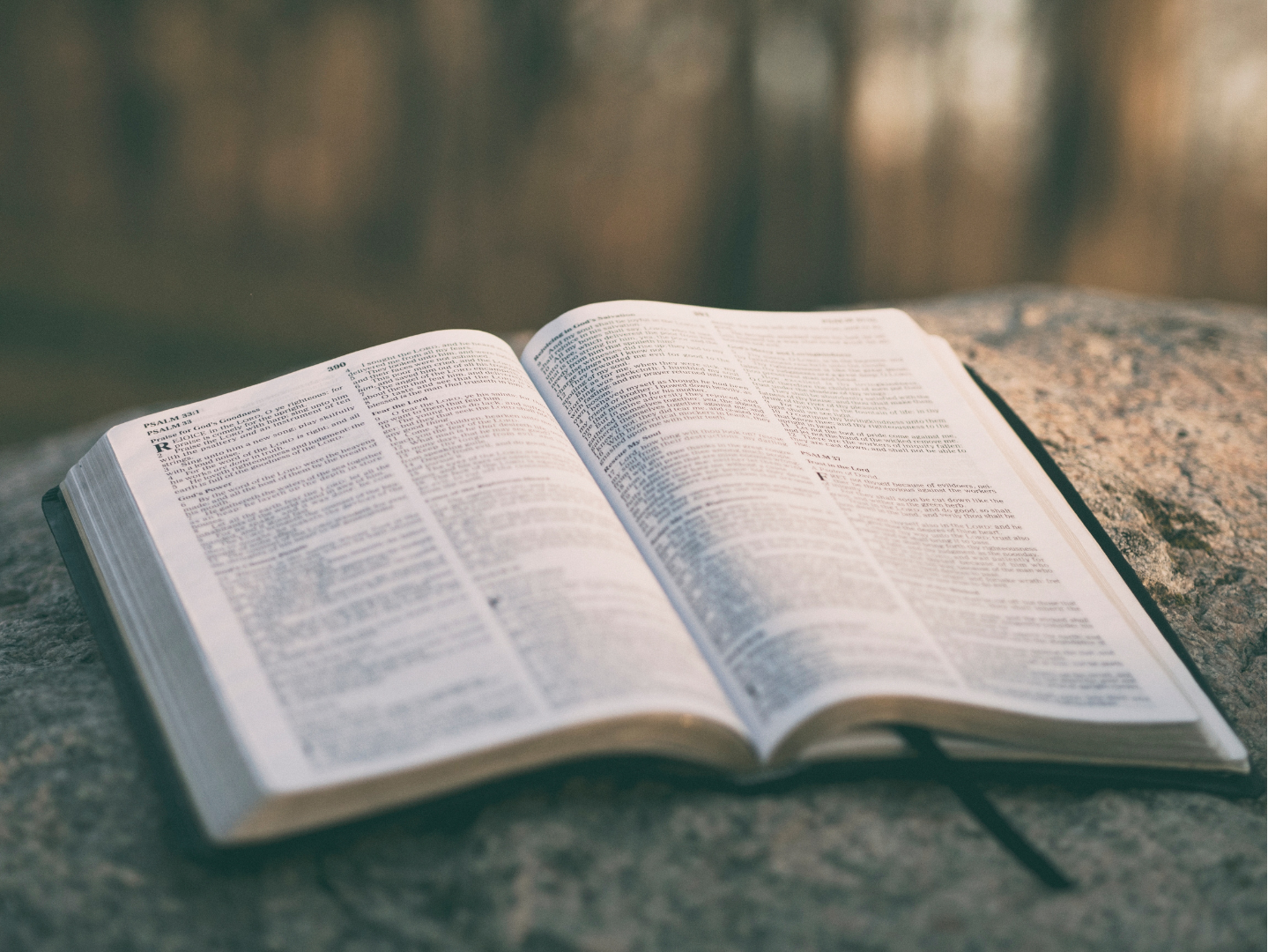 Meno Bible Study
