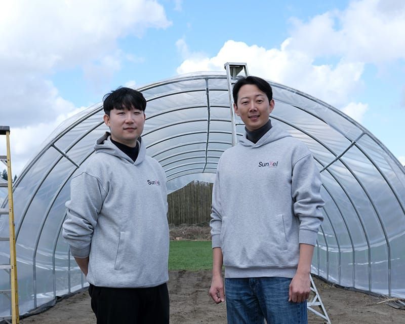 Snohomish County farmers try out South Korea greenhouse film