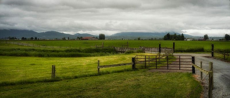 Nearly 300 acres of Skagit County farmland gets protected