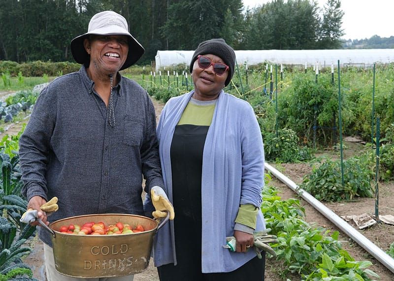 Agriculture returns to King County farm property