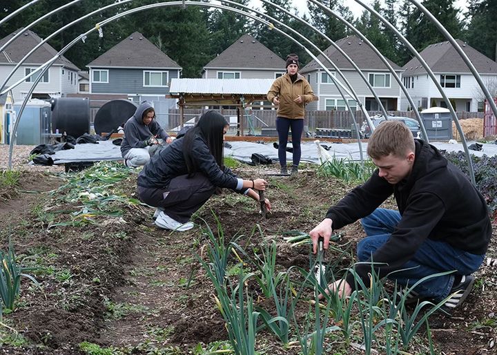 Former Maple Valley golf course blossoms into food bank farm and education hub
