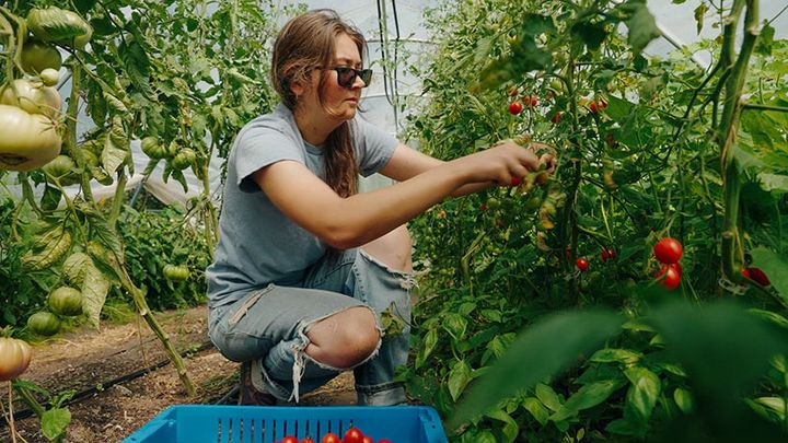 King County’s updated Local Food Initiative has a broader vision, addressing hunger relief, access to farmland, and climate resiliency