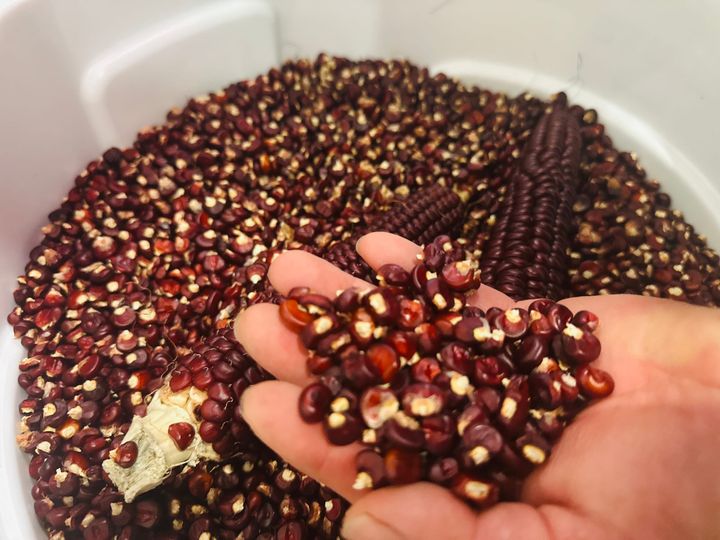 Support businesses that use locally grown grains – Sidebar