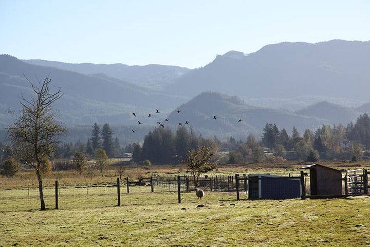 American Farmland Trust posts action plan to help Puget Sound farmers