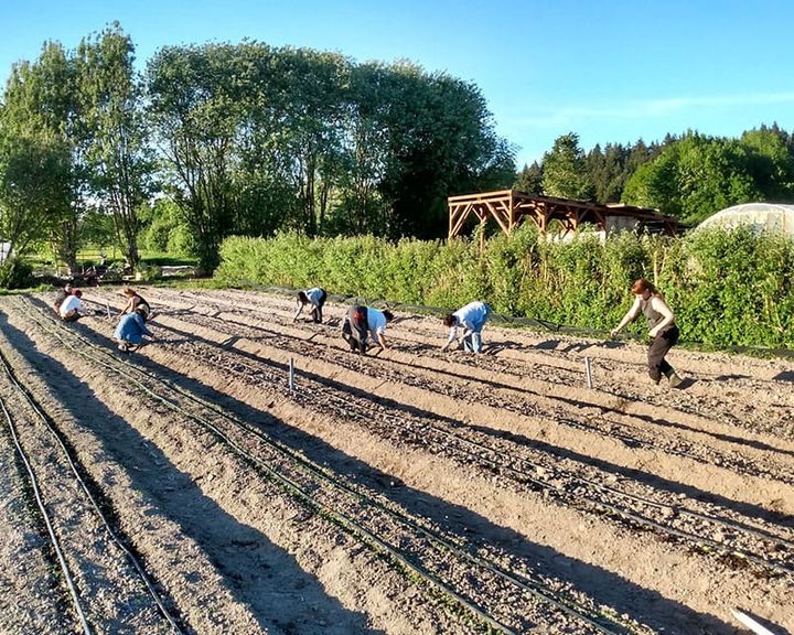 USDA cuts nearly $5 million that would've helped underserved farmers in western Washington
