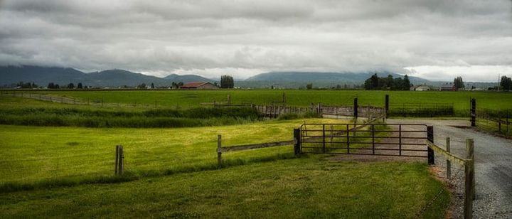 Nearly 300 acres of Skagit County farmland gets protected