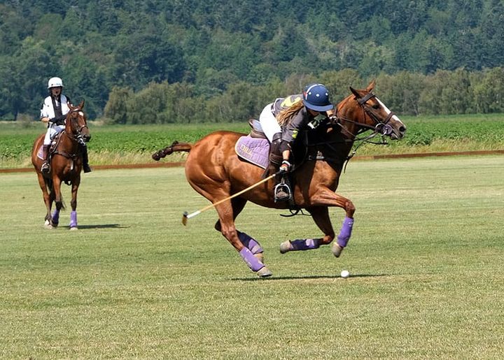 Polo matches take place in the heart of rural Skagit County
