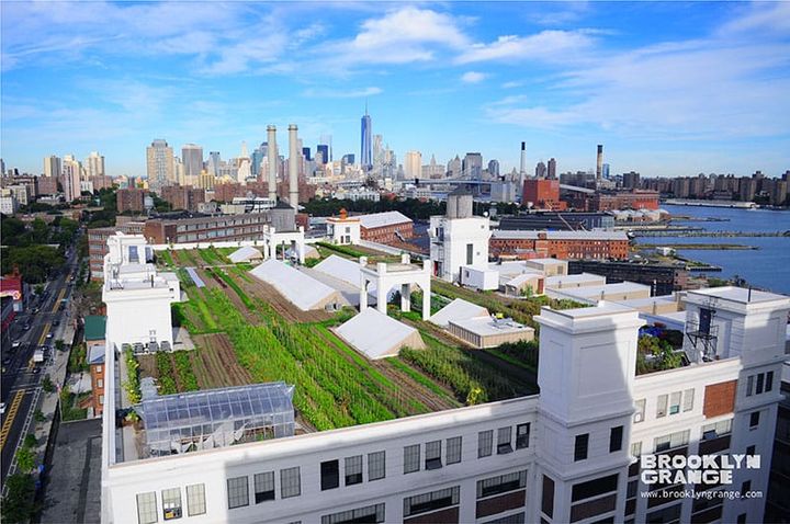 Taking an integrated look at urban agriculture
