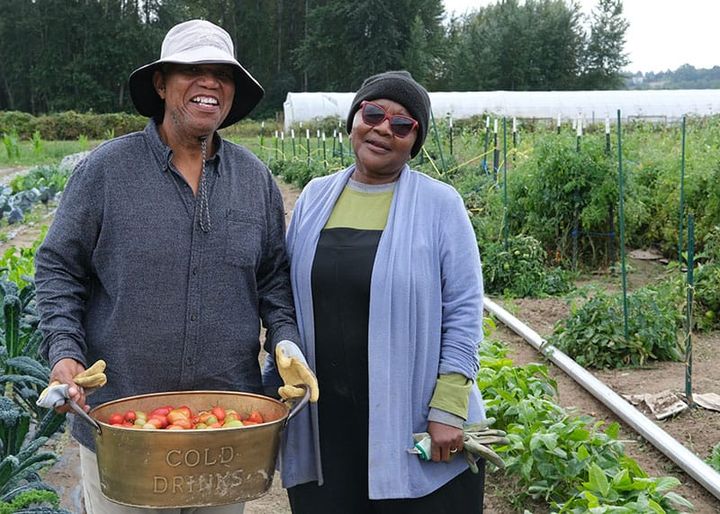 Agriculture returns to King County farm property