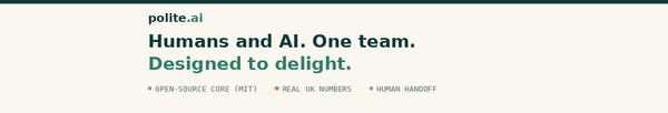 Why I Built polite.ai (II)