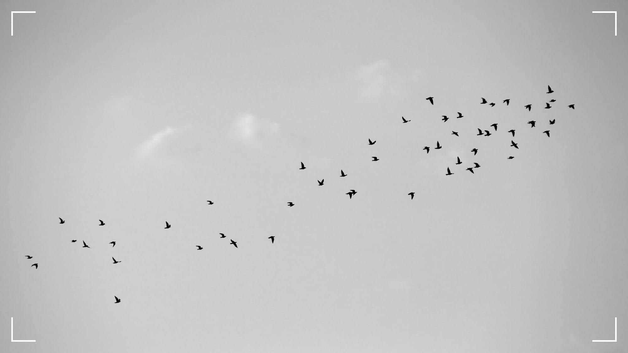 6 Bí Quyết Để Sống Một Cuộc Đời Đáng Sống 🥰