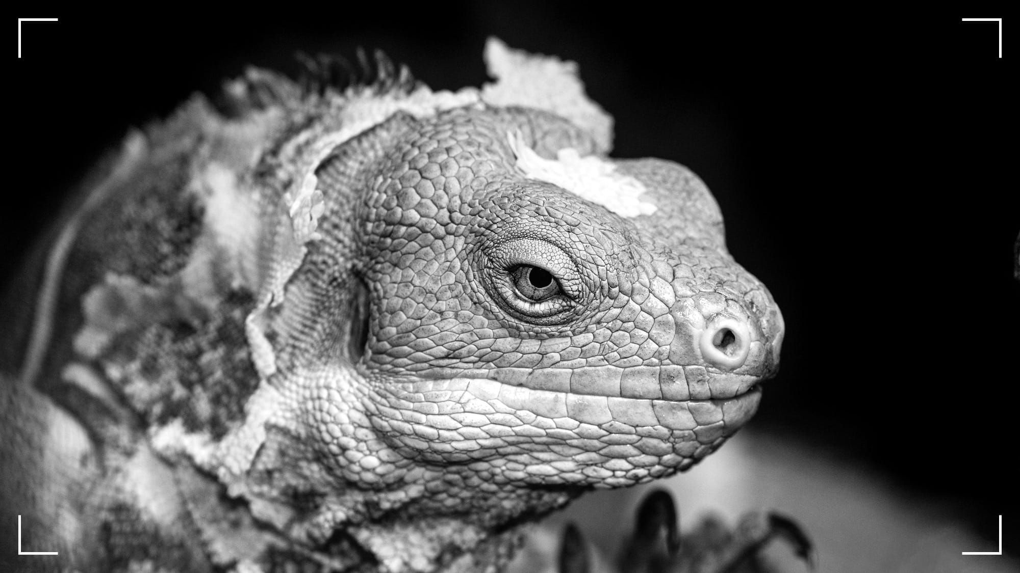 What Brought You Here Might Kill You There