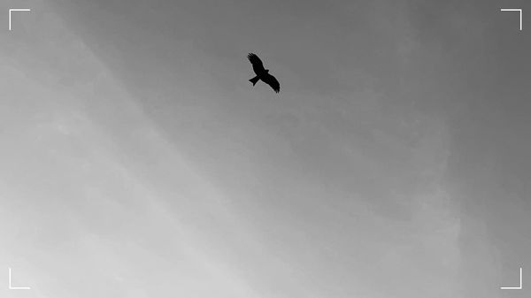 Microsoft: 5 Năm, 1 Hành Trình Học Hỏi, 3 Bài Học Trưởng Thành